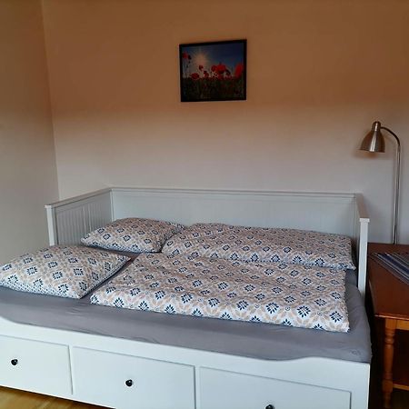 Appartement Et Terrasse Privee Ingolsheim Exteriör bild