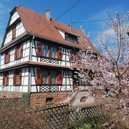 Appartement Et Terrasse Privee Ingolsheim Exteriör bild