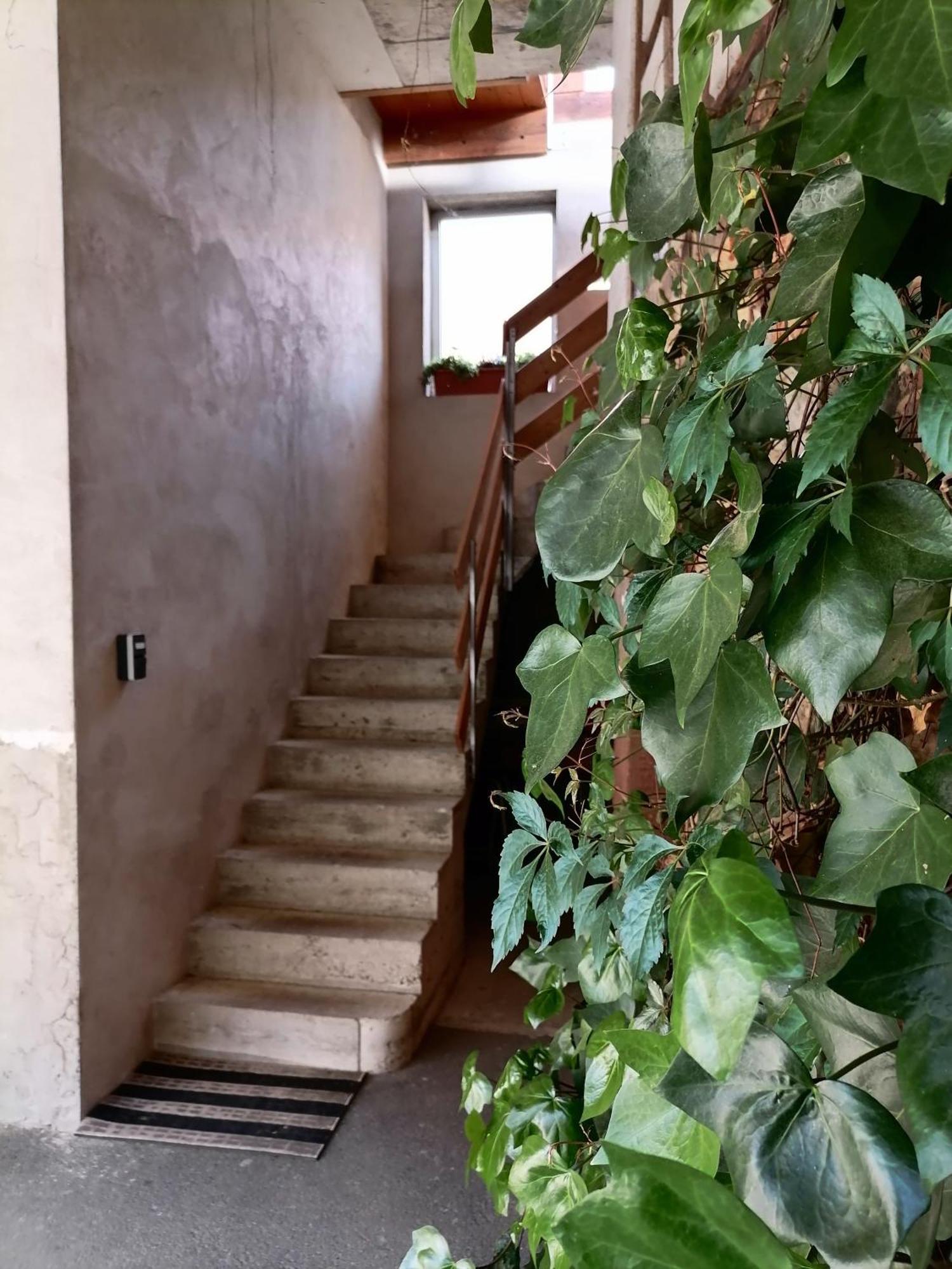 Appartement Et Terrasse Privee Ingolsheim Exteriör bild