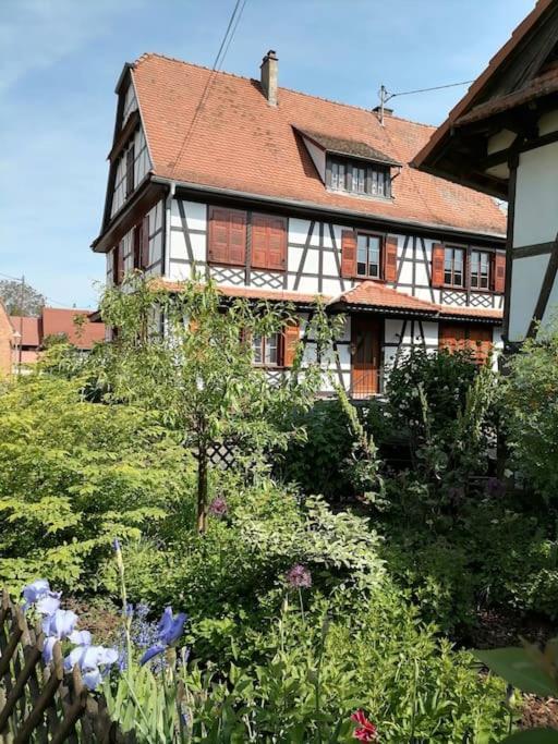 Appartement Et Terrasse Privee Ingolsheim Exteriör bild