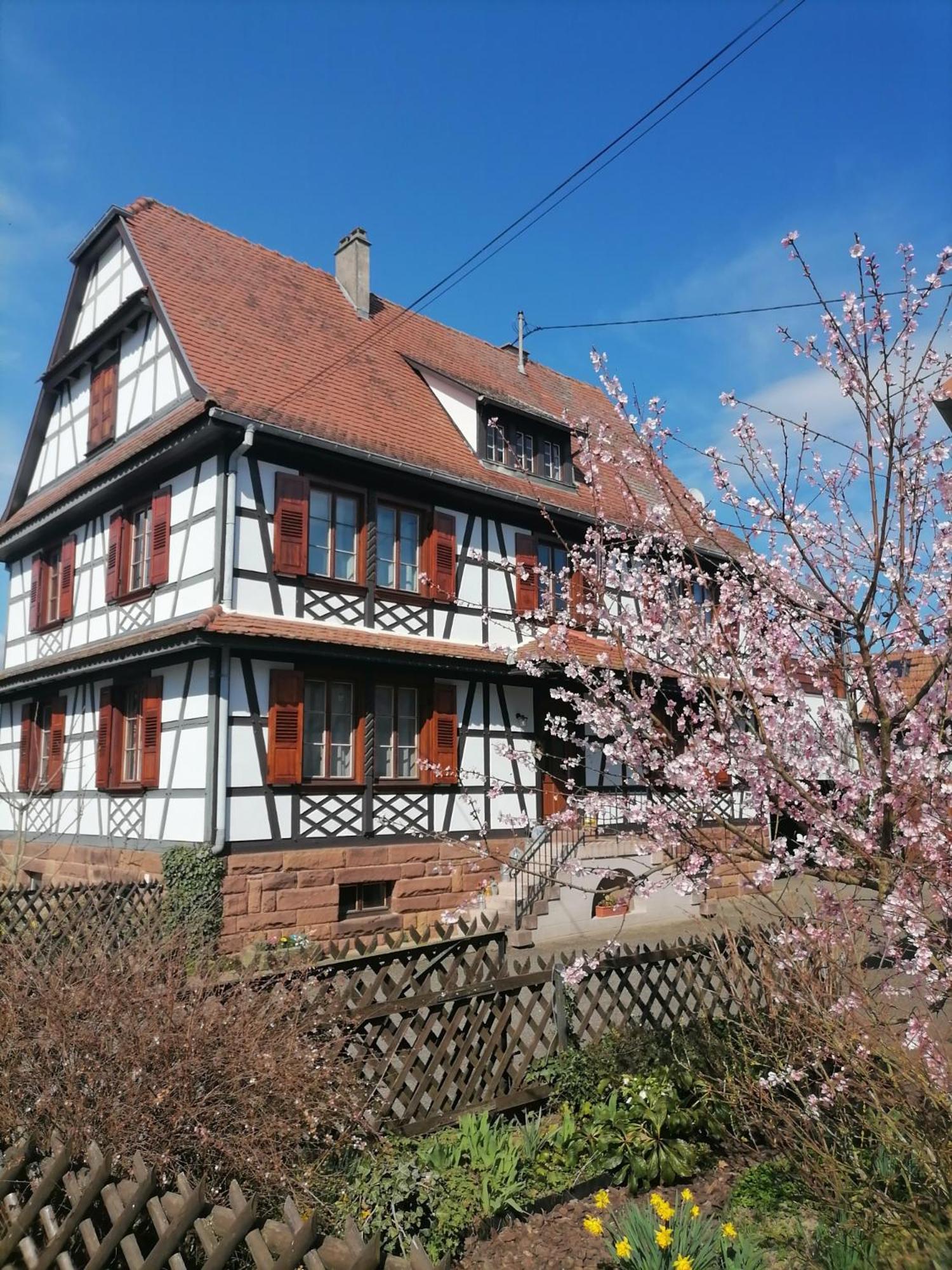 Appartement Et Terrasse Privee Ingolsheim Exteriör bild